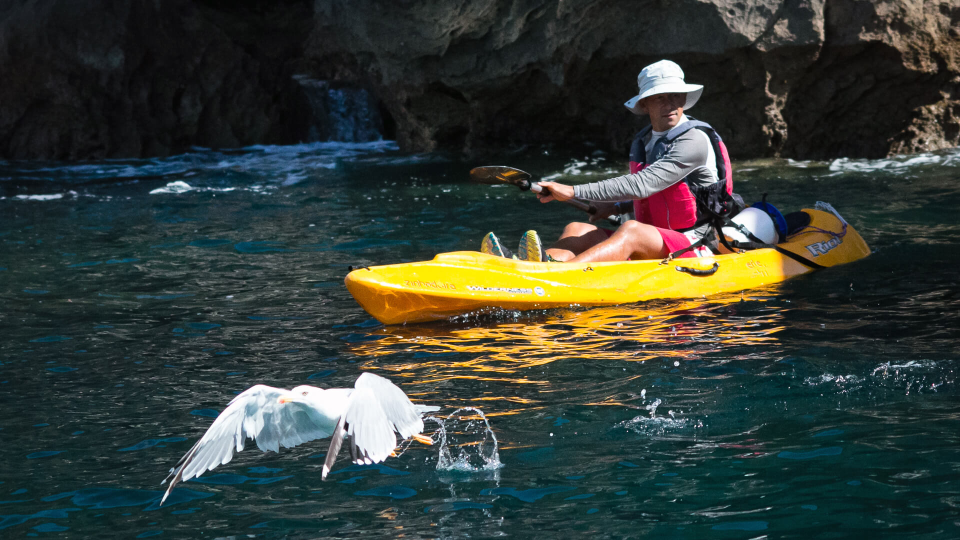 Passear de Kayak - Sesimbra Selvagem