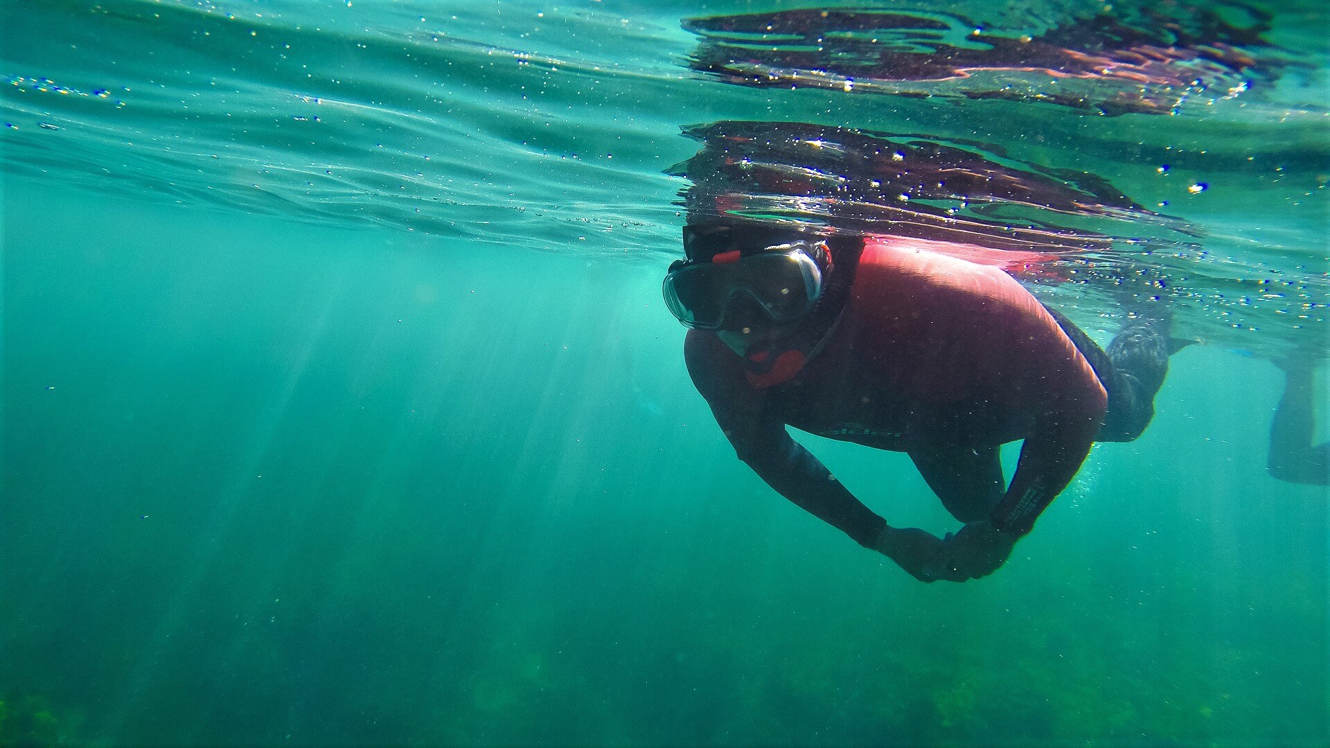 Snorkeling - Descobrir o Parque Marinho